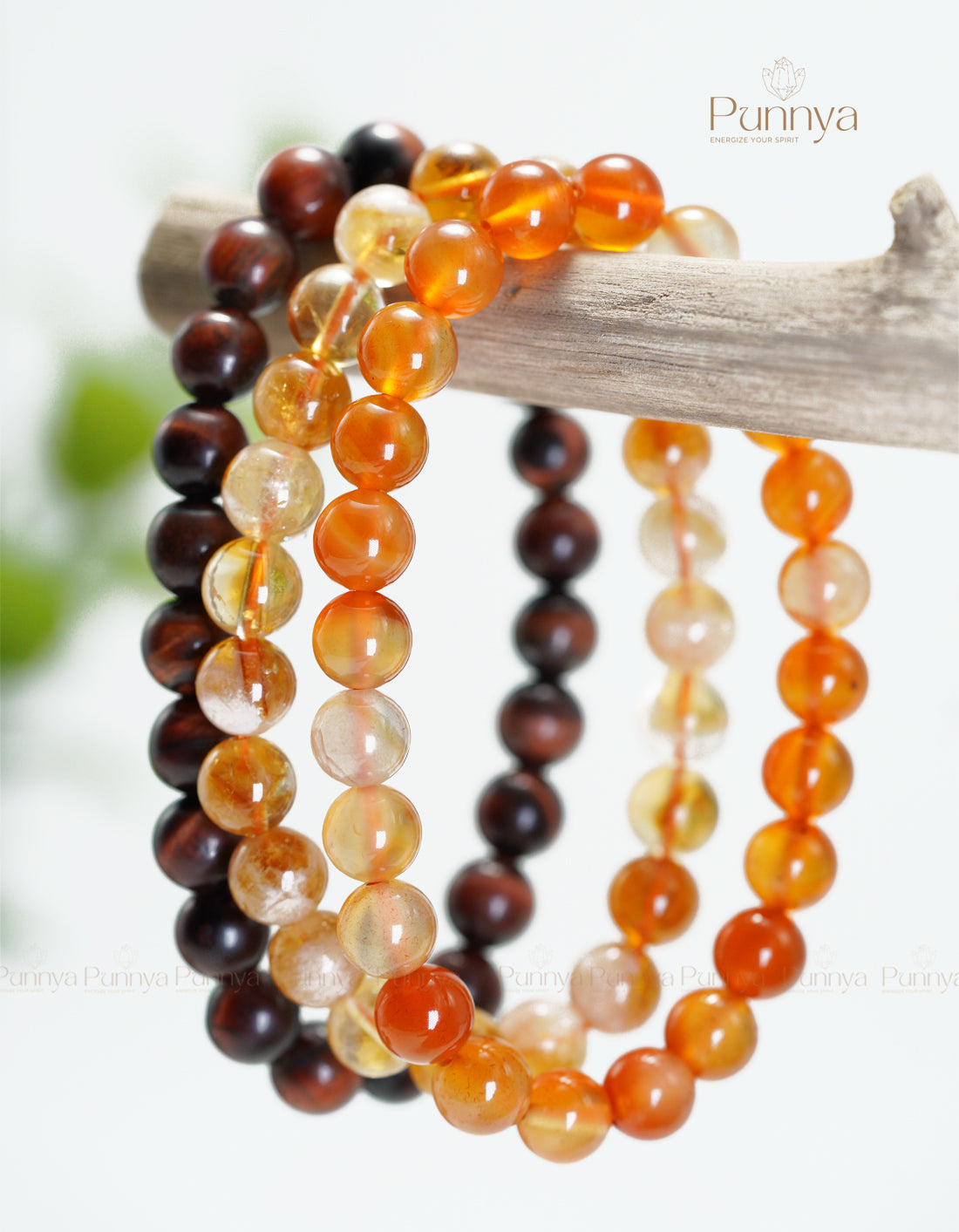 The Energy & Success Trio