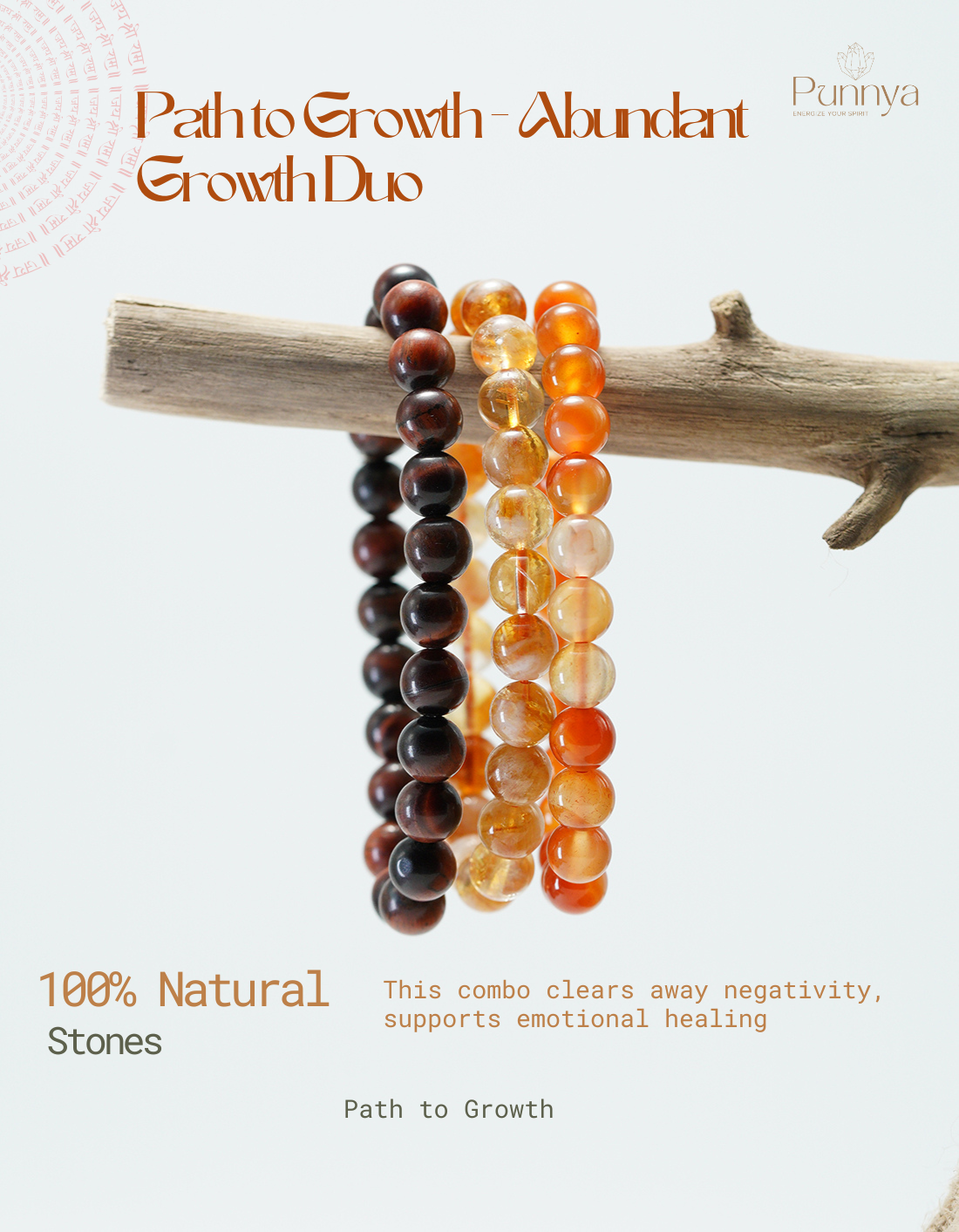 The Energy & Success Trio